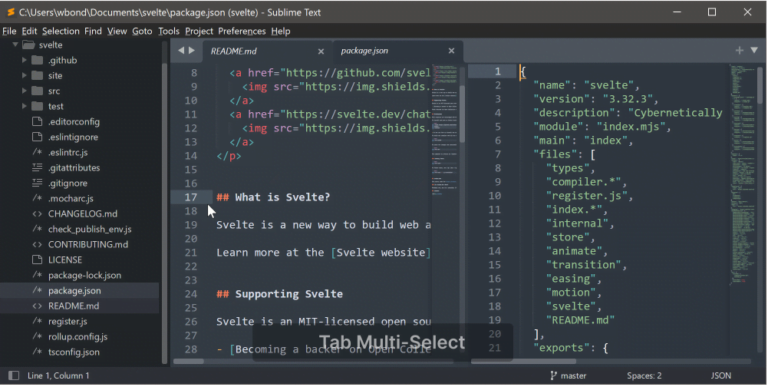 sublime text raspberry pi