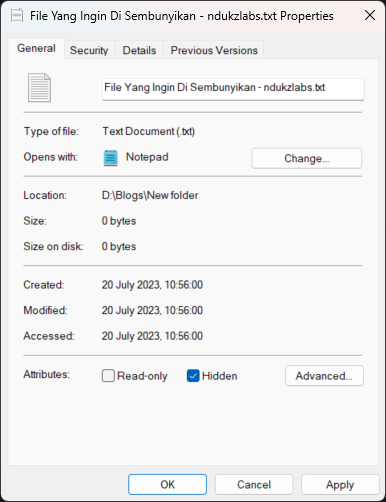 menyembunyikan folder Windows 11