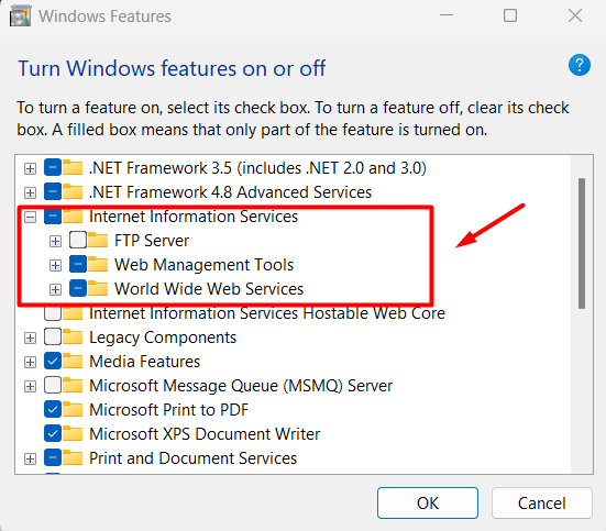 Install IIS Windows 11