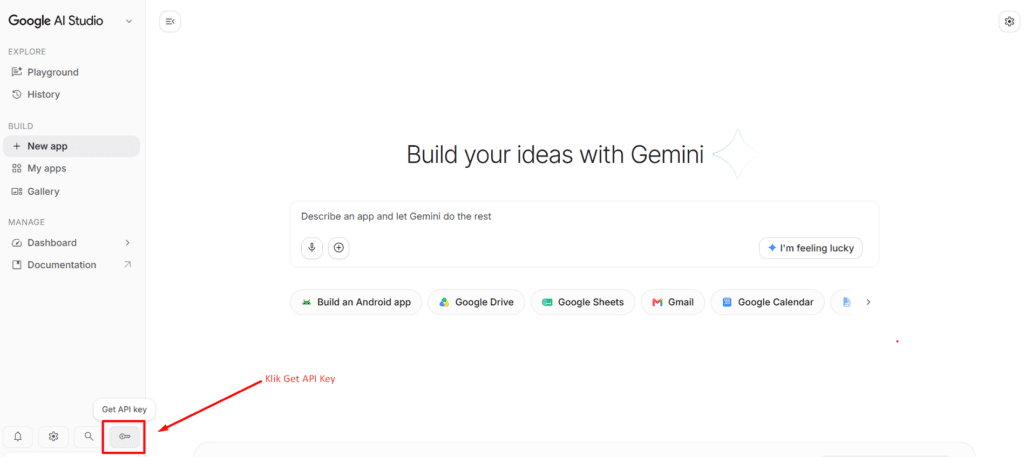 Gemini API Key